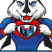 Logo Husky