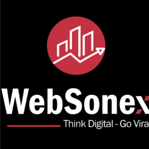 WebSonex – Digital Marketing Agency
